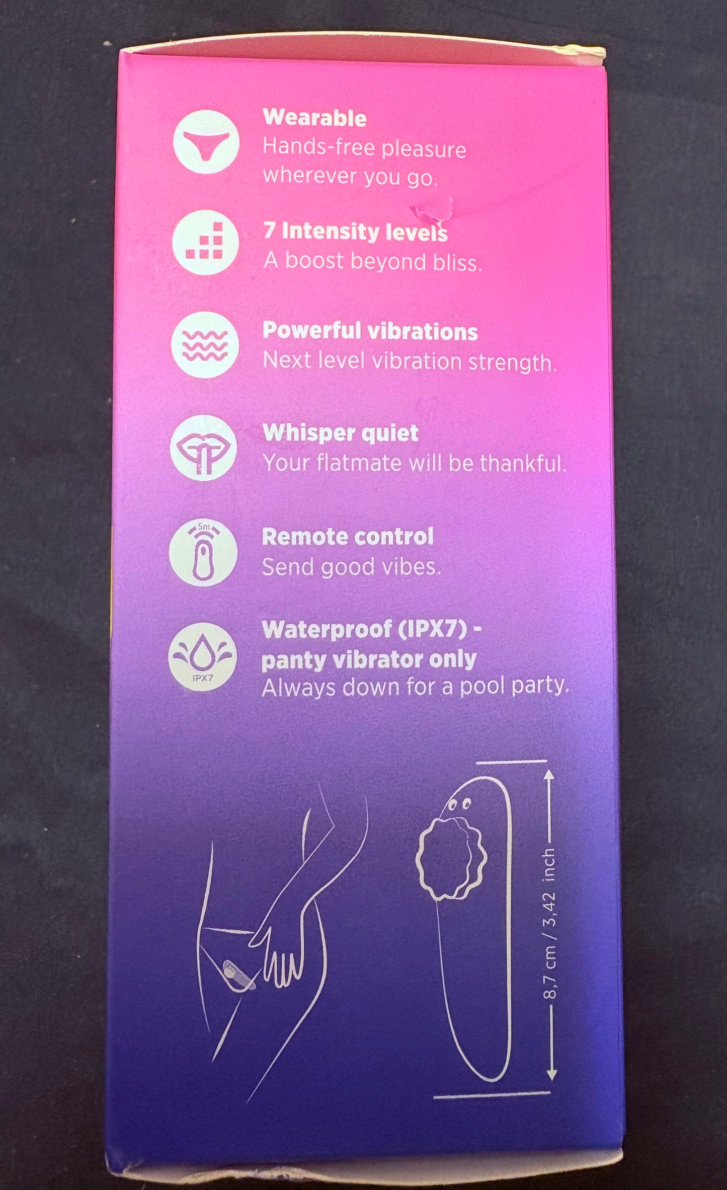 Romp Party Wearable Panty Vibe