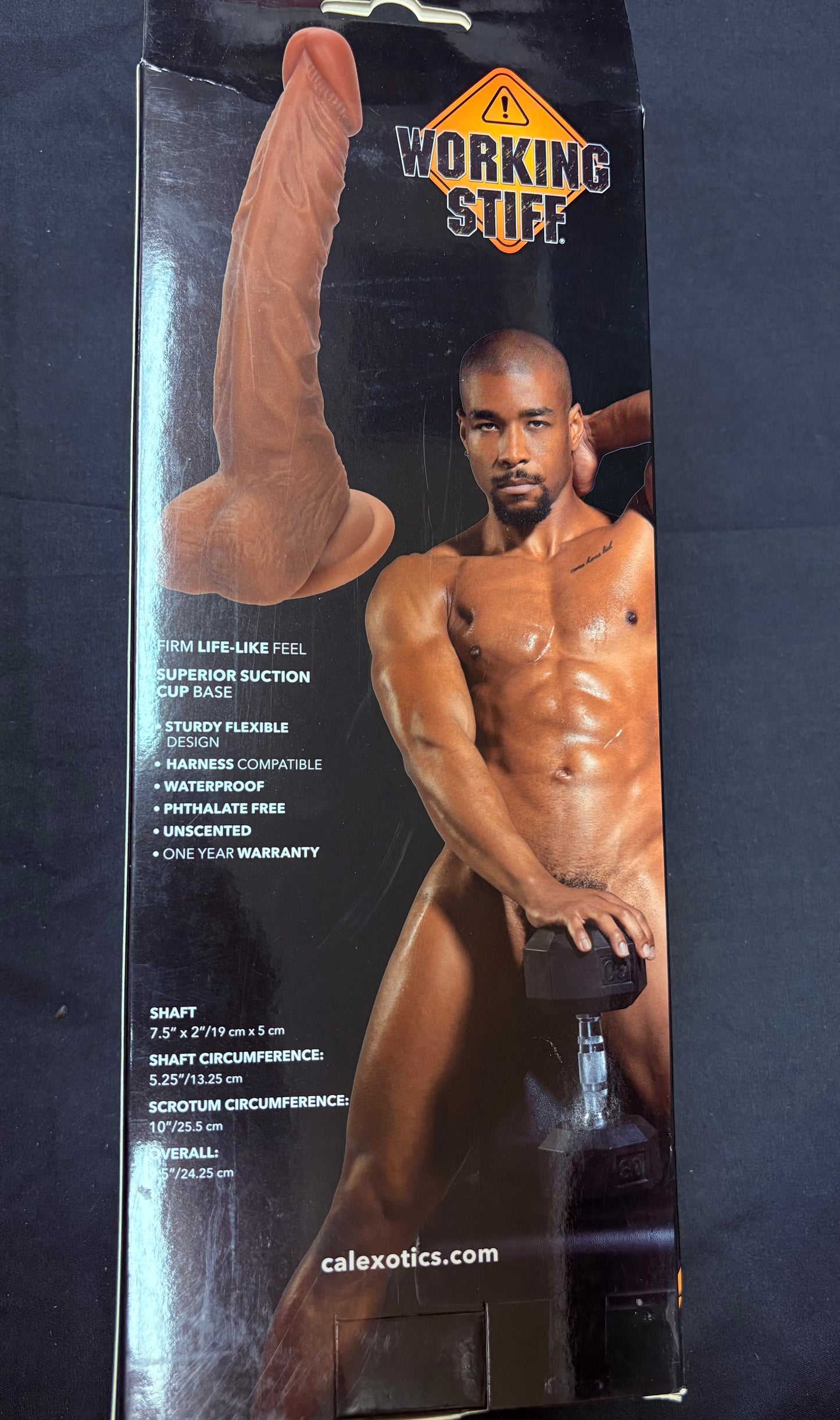 Working Stiff The Personal Trainer Dildo