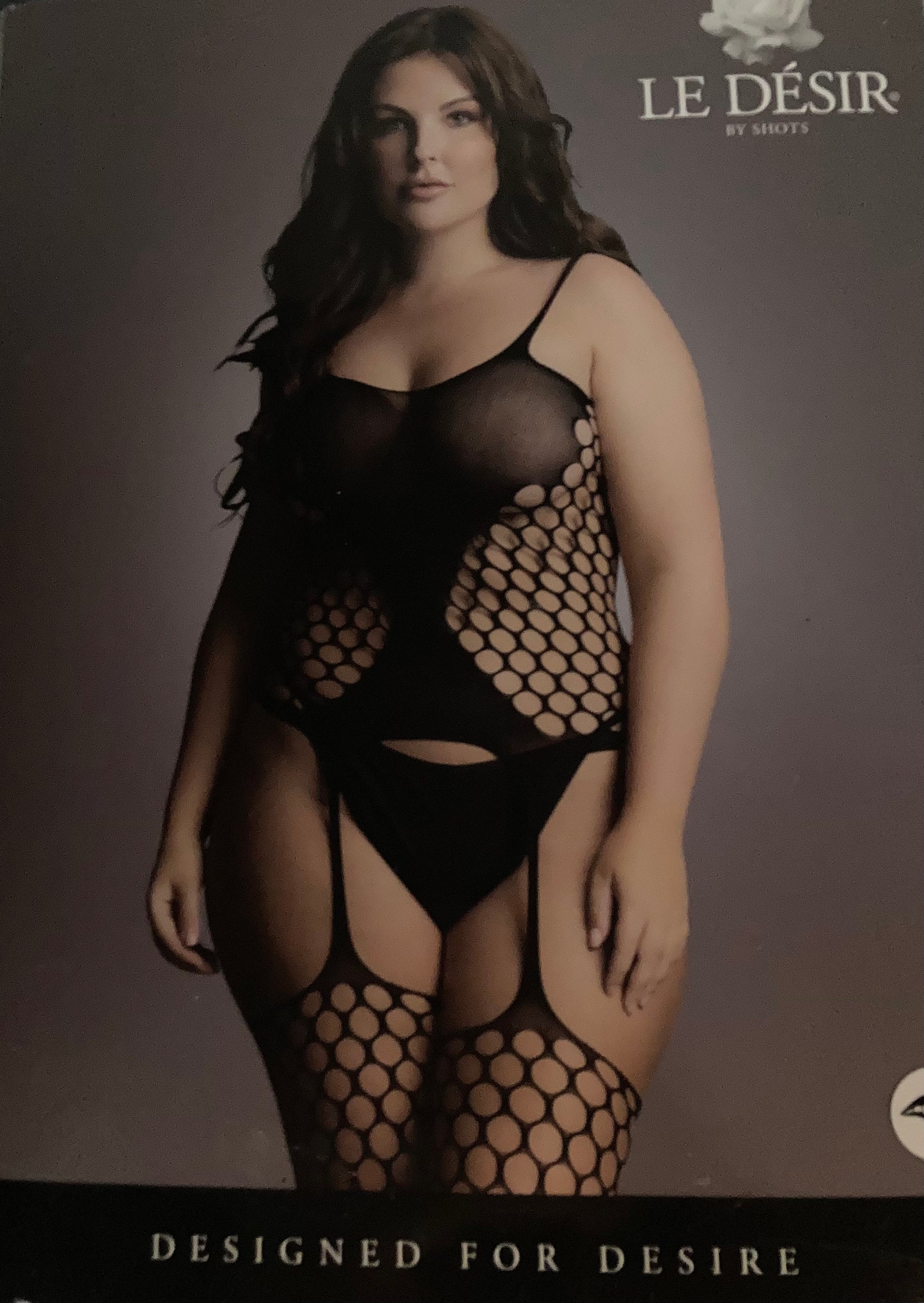 Le Désir Black Fence Net Suspender Bodystocking QS