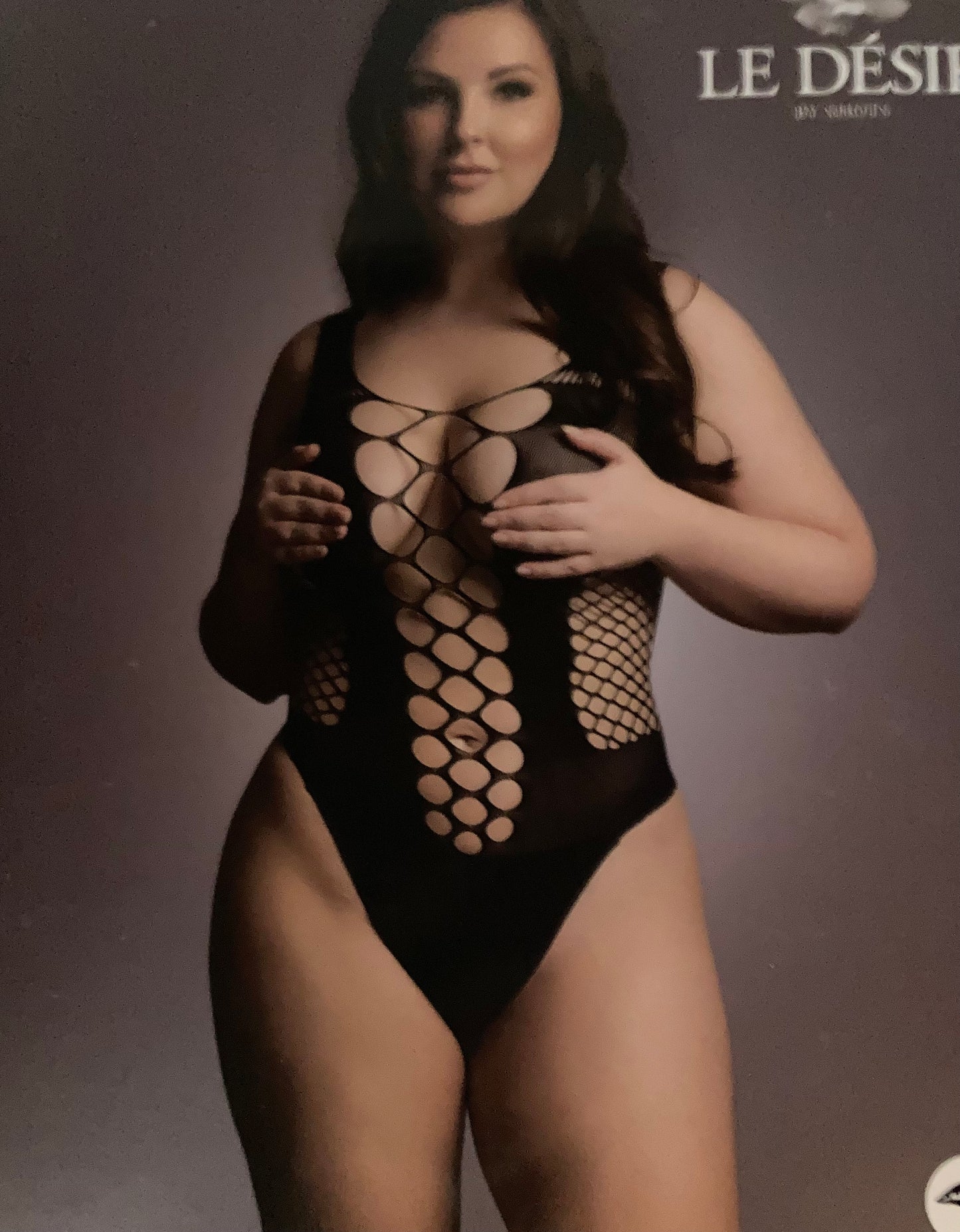 Le Désir Contrast Fence Net Black Teddy QS