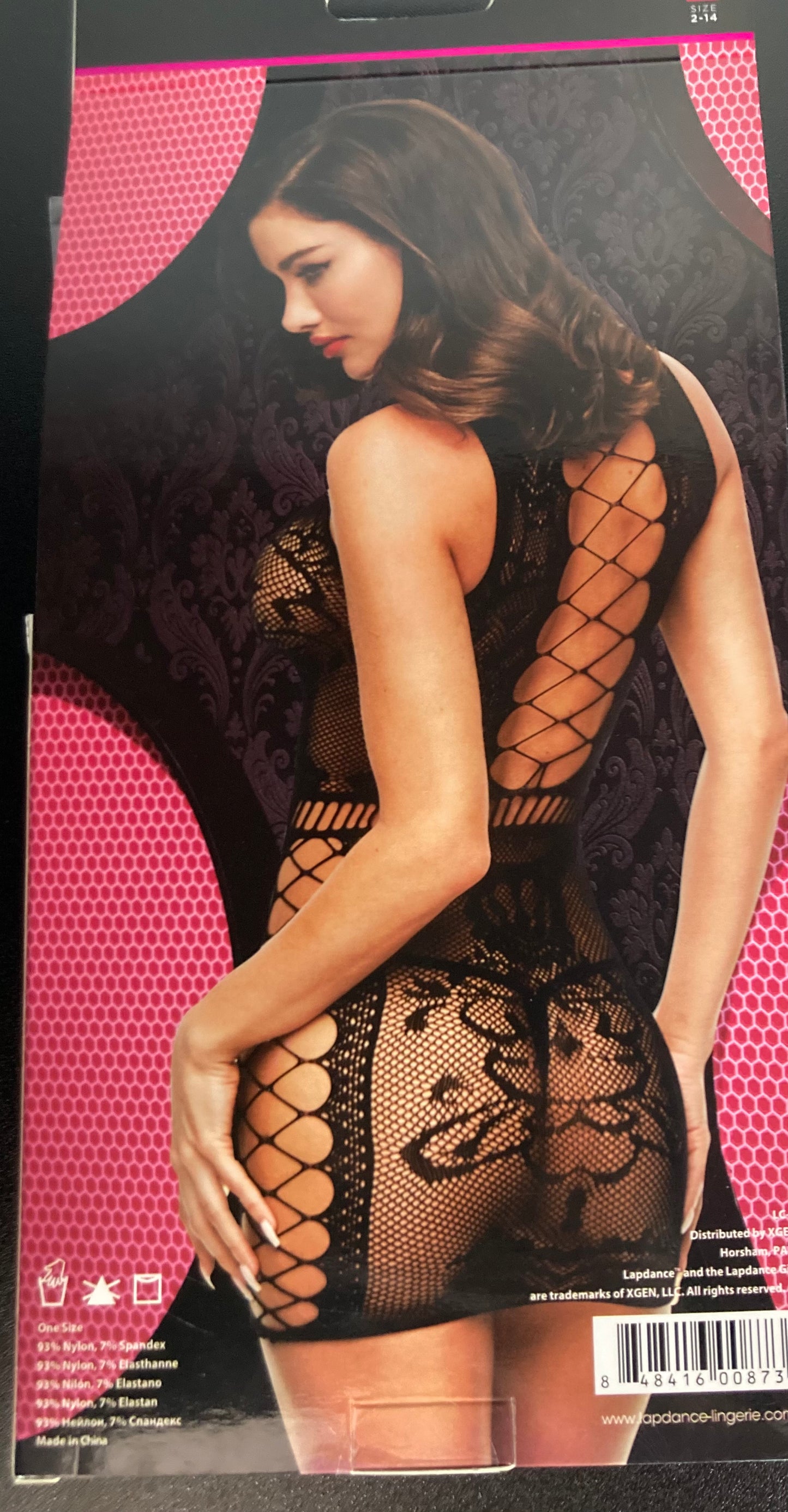 Lapdance Sexy Fishnet and Lace Mini Dress