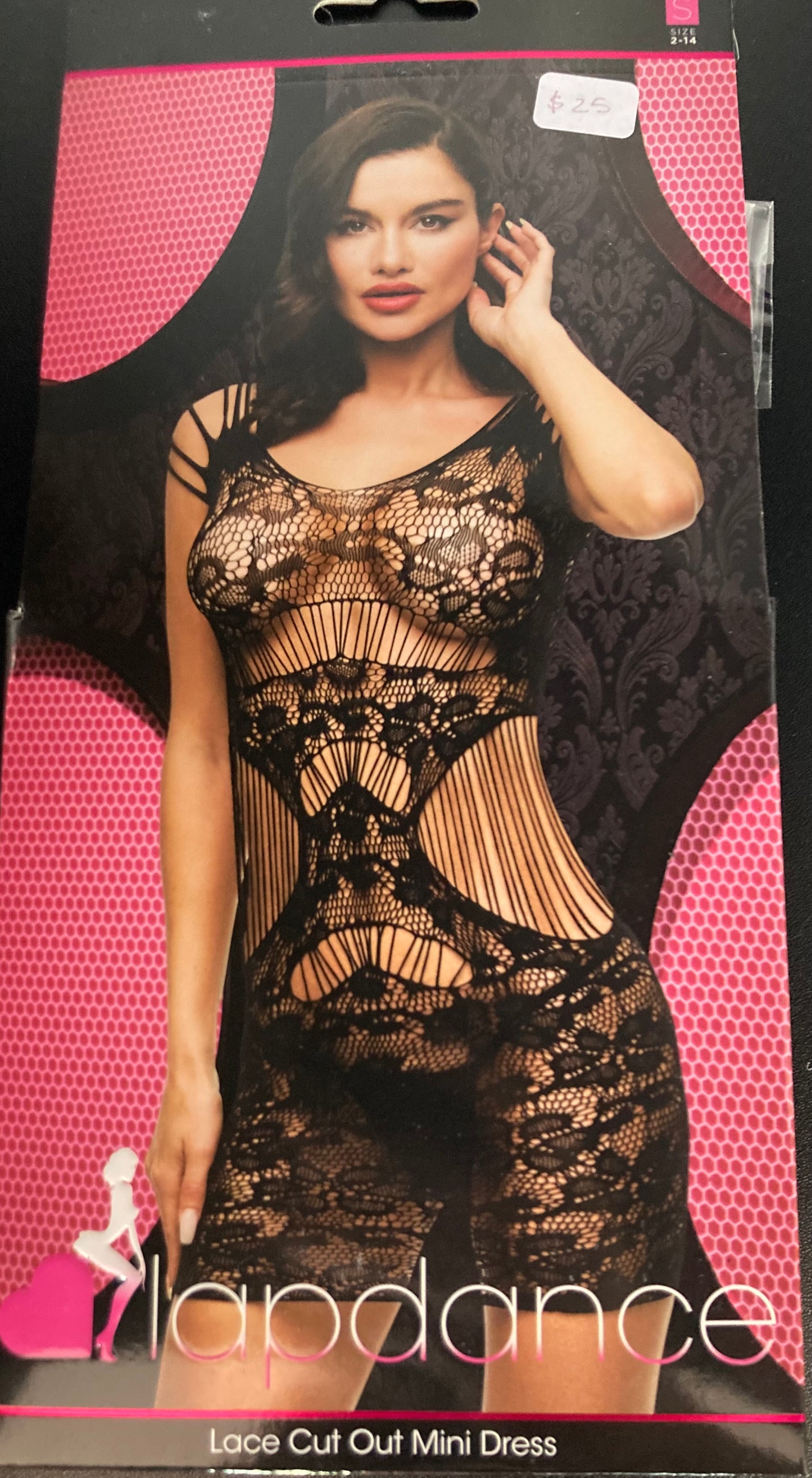 Lapdance Sexy Fishnet and Lace Mini Dress