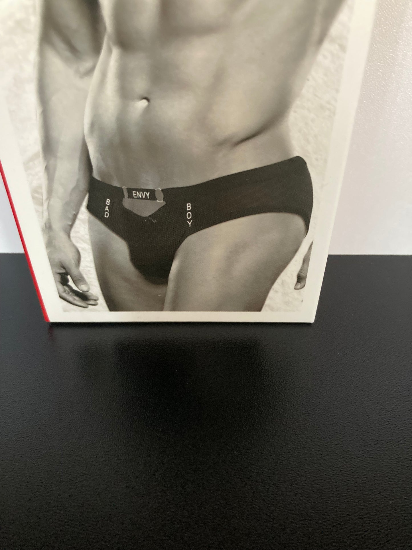 ENVY Bad Boy Brief - BLE098