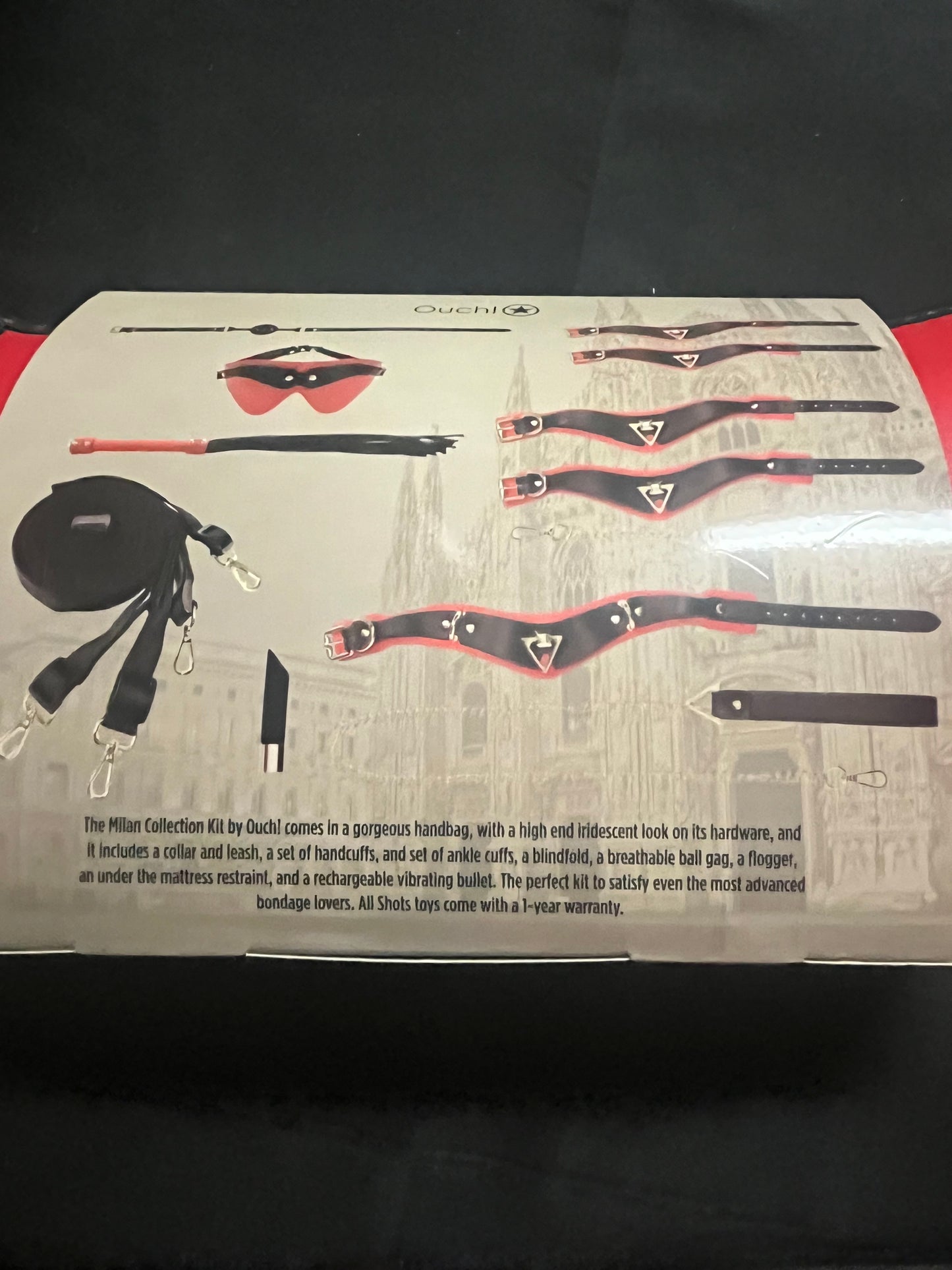 Ouch! Milan Bondage Bag