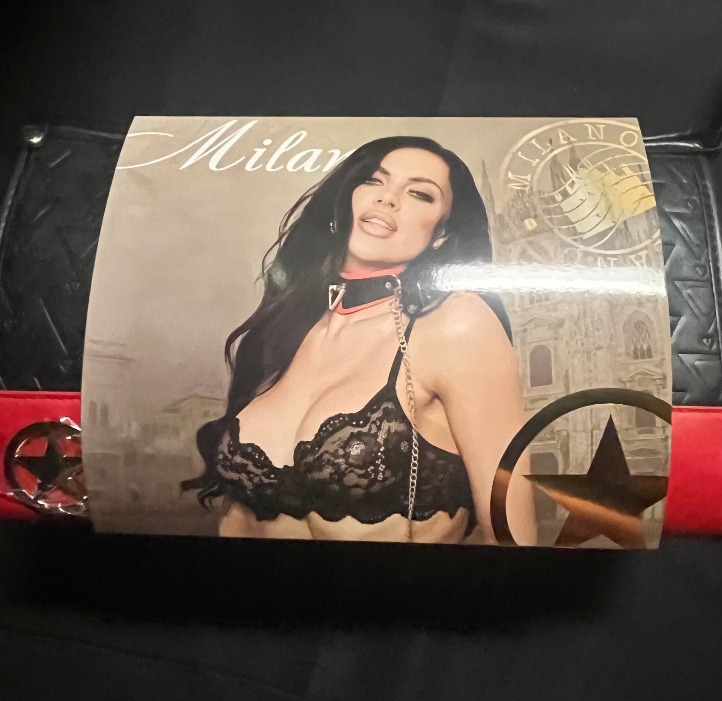 Ouch! Milan Bondage Bag