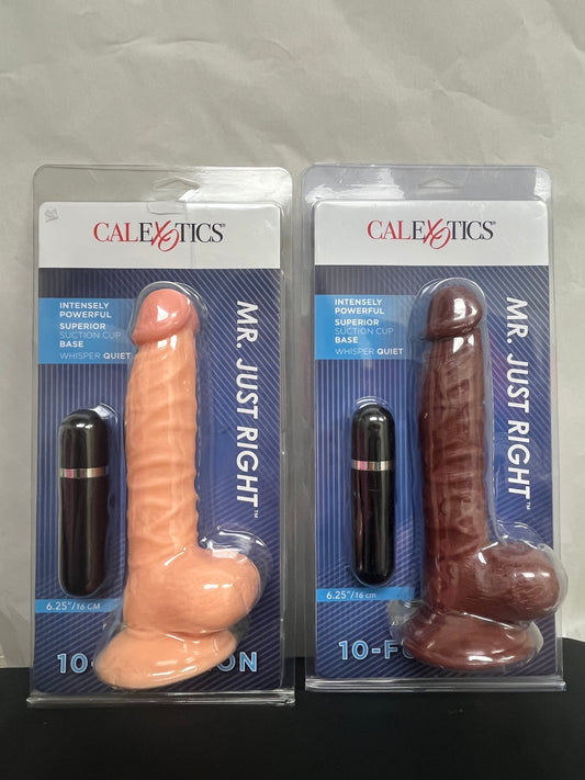 CalExotics Mr. Just Right Elite Eight Vibe