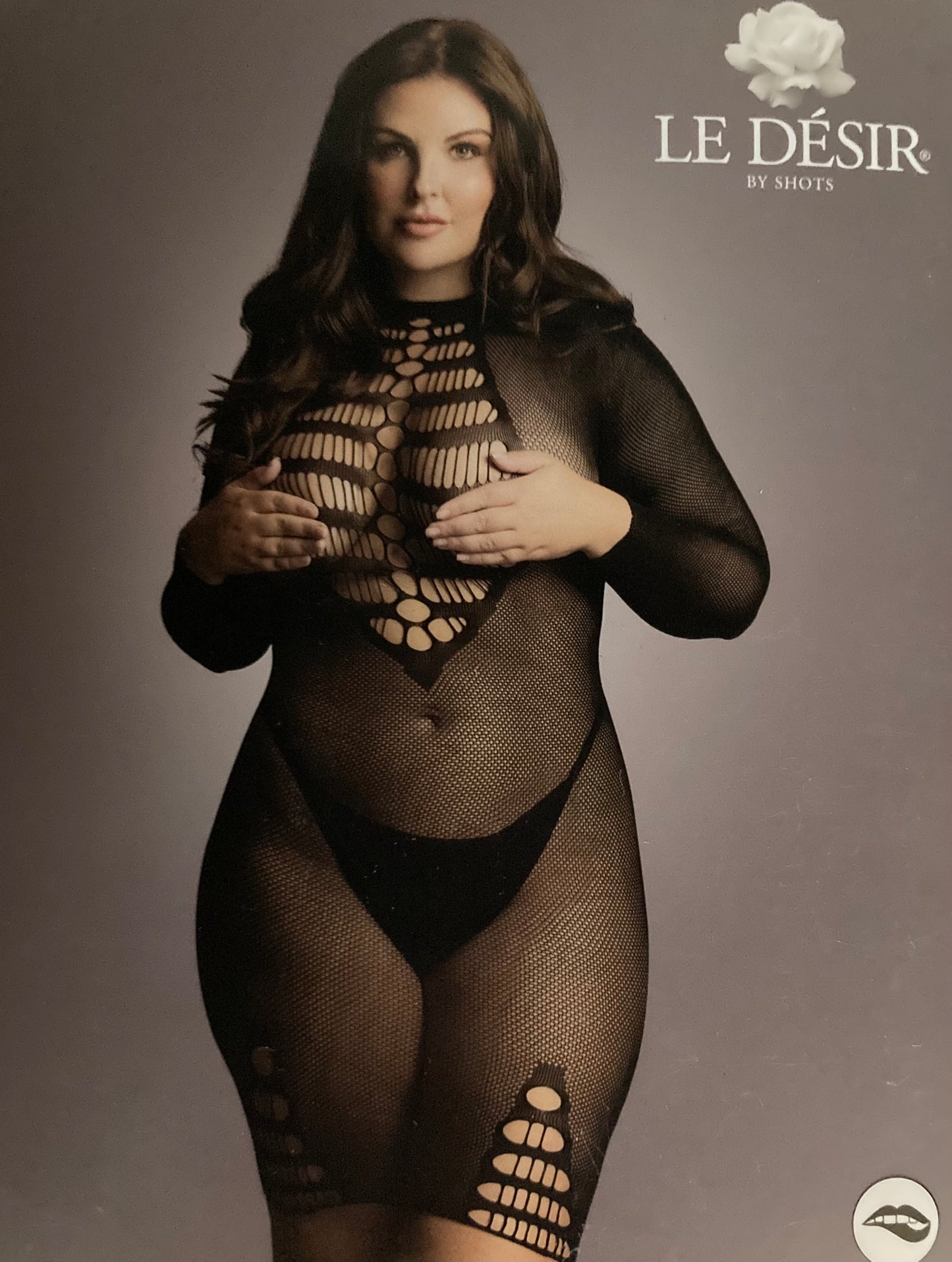 Le Desire Long Sleeve Fishnet Dress QS