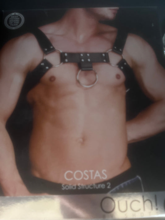 Costas Solid Structure 2