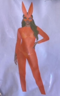 Foreplay Costume -Simply Ear-resistible Sexy Bunny